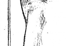 apuntes-dibujos-barriuso-18