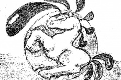pegaso.1jpg