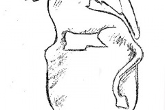 trifos-escudo