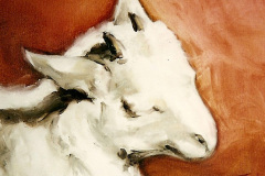 cabrito-sin-marco
