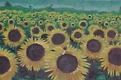 girasoles-sin-marco